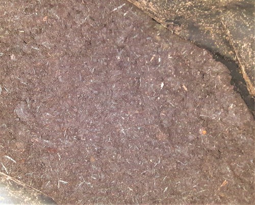 Ericaceous compost low for - ph,
