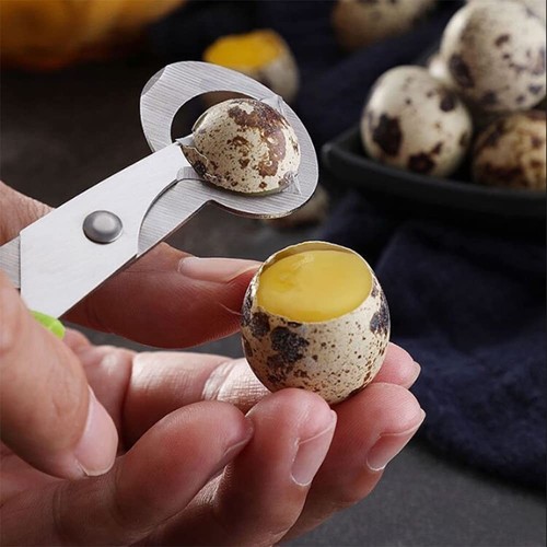 Quail egg scissors - egg, high
