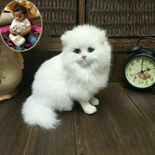Realistic Persian Cat Animals