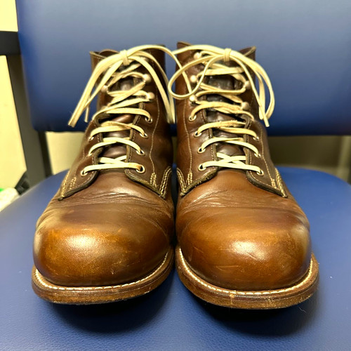 Wolverine 1000 mile - wolverine,