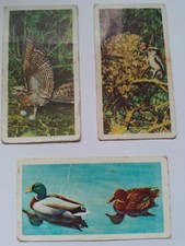 Brook Bond Tea picture cards...British Birds part set...used condition
