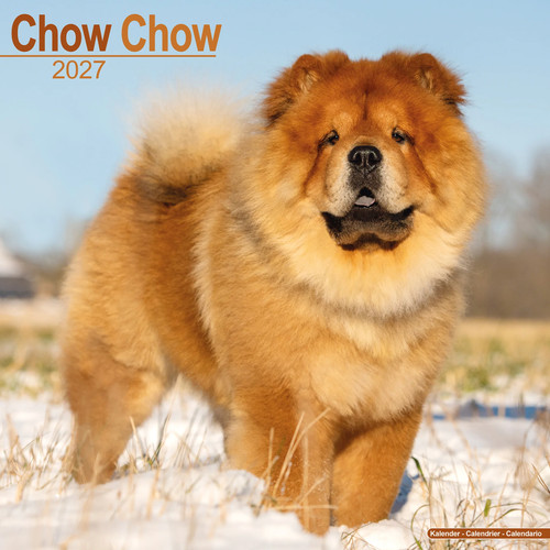 Chow 2027 - chow, calendar