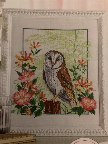 Woodland barn owl - woodland, honeysuckle