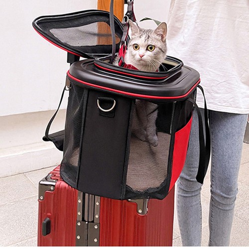 Pet trolley case - pet,