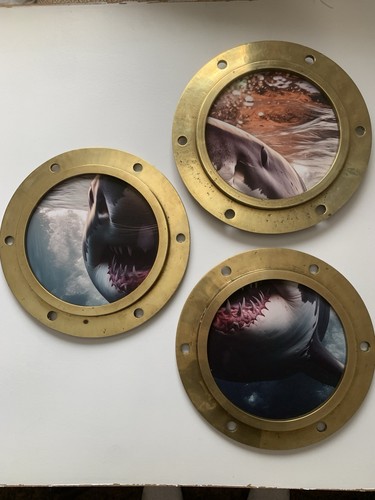 Great white shark - white,