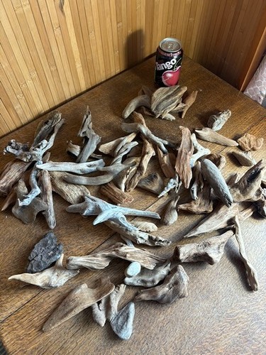 Driftwood over 50x small - ,