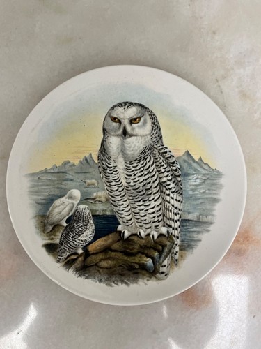 Vintage poole pottery john - vintage,