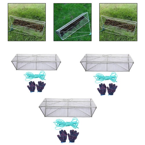 Field snails cage river - cage,