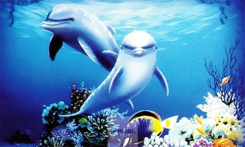 Penn plax aquarium - hd,