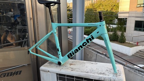 Bianchi sprint carbon frameset - sprint,