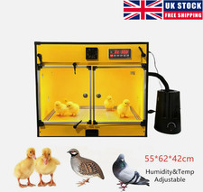 Poultry Brooder Box Birds