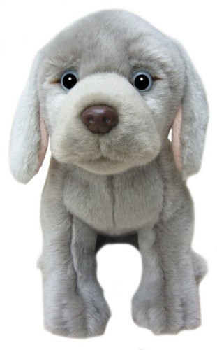 Blue weimaraner teddy toys - 12",