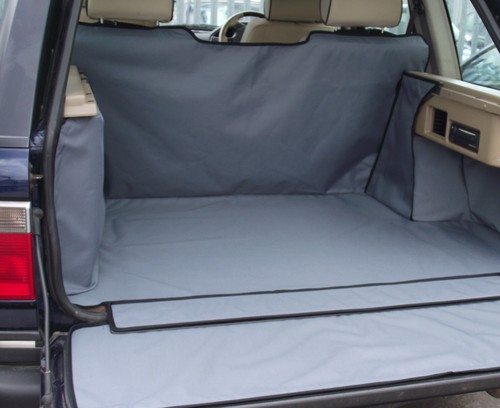 Fits renault arkana 2020 - renault,