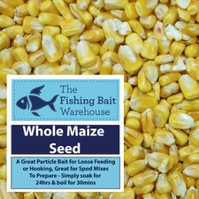 Whole Maize Seed, 5kg, 10kg, 20kg, Carp Fishing Particle, Tench, Bream