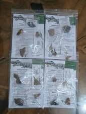 Fossil  Dinosaur Pack REAL