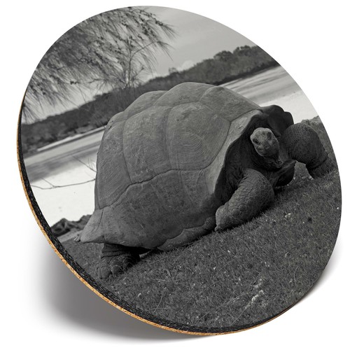 Round single coaster bw - single,