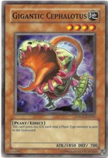 Gigantic Cephalotus - CSOC-EN025 - Common - Unlimited Edition - YuGiOh