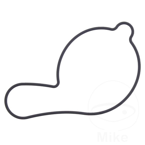 Athena water pump seal - pump,