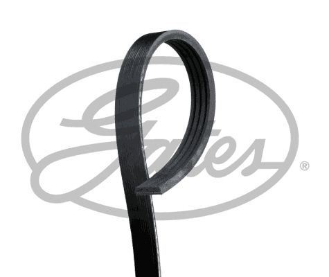 Gates 4pk855 ribbed belt - gates,
