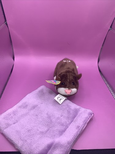 Zhu pet hamster and - zhu, purple