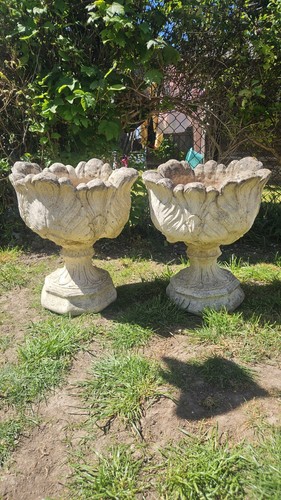 Pair stone tulip garden - of,