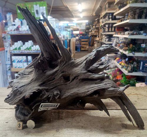 Large corbo root aquarium - large,