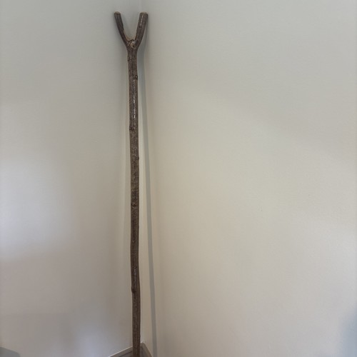 Irish hazel walking stick - irish,