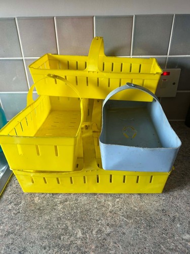 Vintage plastic berry - plastic,