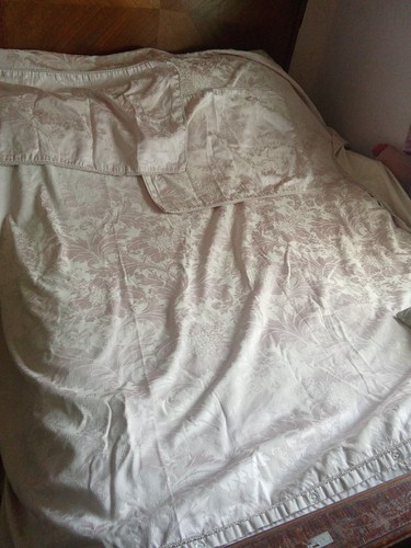 Sanderson dusky pink - sanderson,