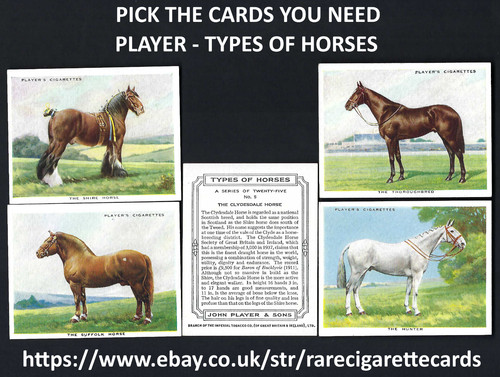 Player types horses - -,