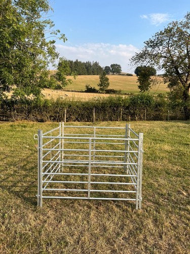 Foot galvanised sheep - galvanised,