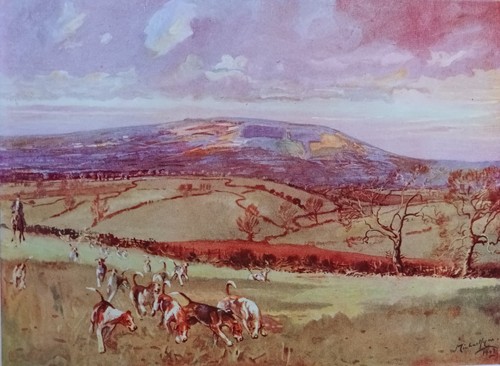 Michael lyne fox - fox, hunting