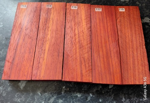 New red padauk - padauk, wood