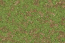 Spring Grass: Wargaming /