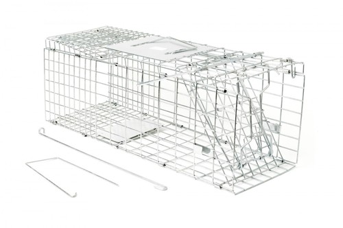 Racan squirrel rabbit - racan,