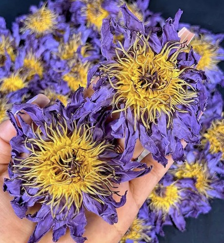 Organic blue lotus whole - organic,