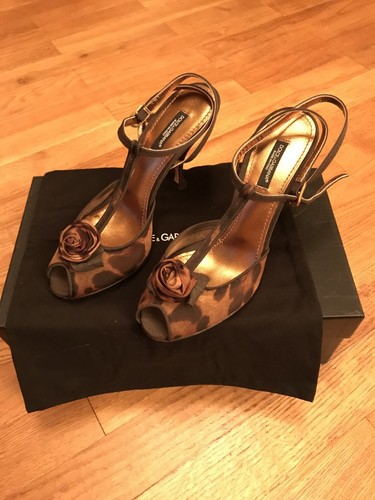 Dolce gabbana kitten - dolce,