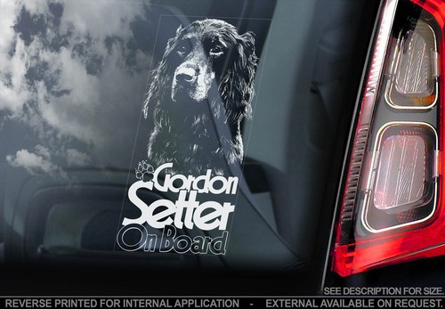 Gordon setter car window - gordon,