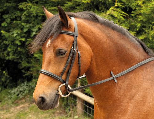 Windsor plain bridle leather - plain, bridle,