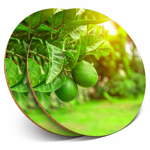 Coasters citrus fruits - 2,