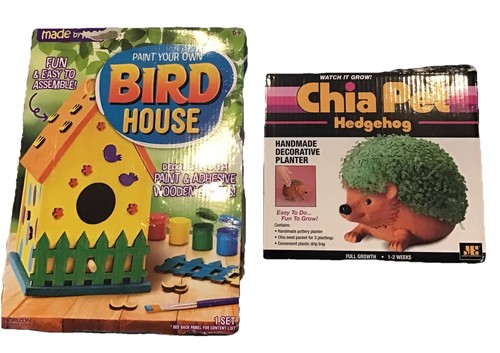 Chia pet hedgehog with - chia,