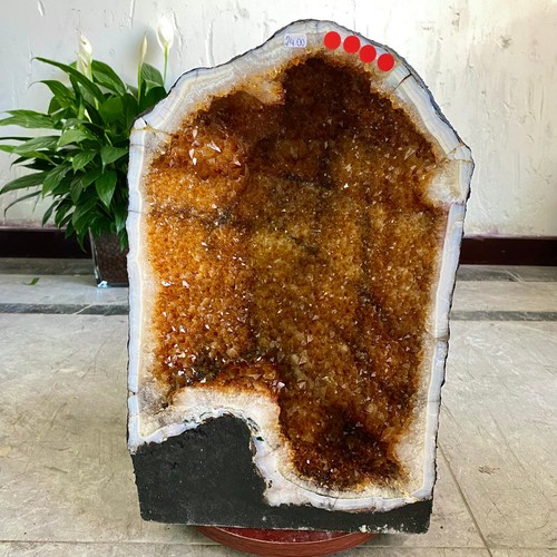 86lb large natural citrine - 52.86lb,