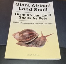 Giant African Land Snail As