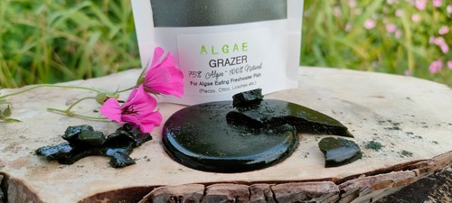 Pleco pops high algae gel - pops!,