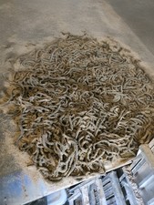 Frozen Black Lugworm 10 Packs. 10 LARGE Worms Per Pack.