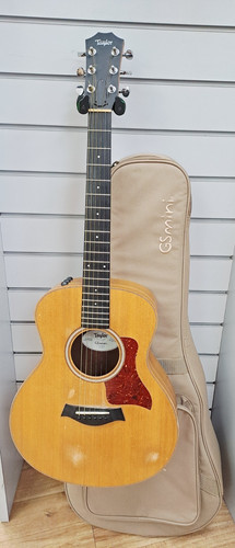 Taylor 2017 mini with gig - taylor,