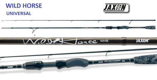 Jaxon wild horse - jaxon,