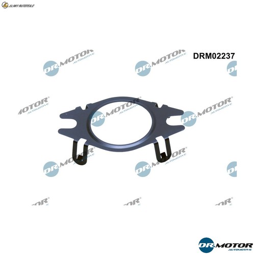 Gasket line egr - egr, valve