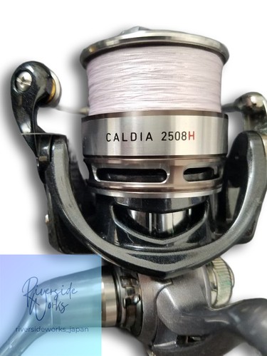 Daiwa caldia 2508h - daiwa,