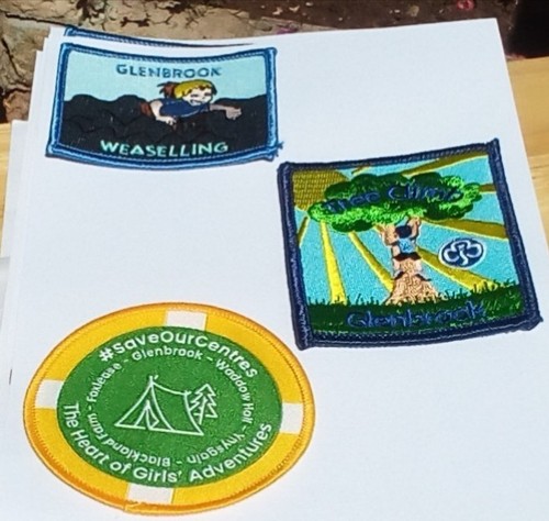 Girlguiding badges